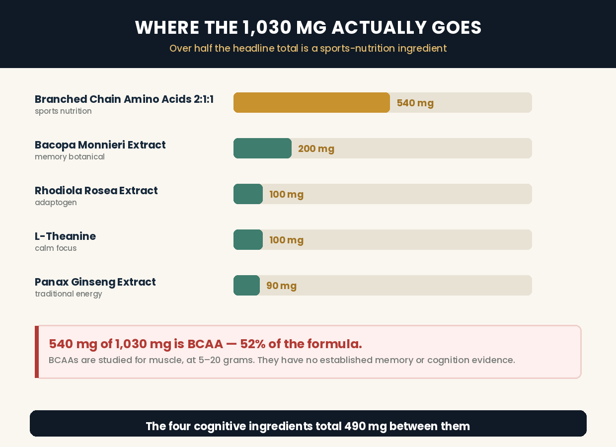 MemoHive's 1,030 mg split: BCAA 540 mg against bacopa 200, rhodiola 100, L-theanine 100 and ginseng 90